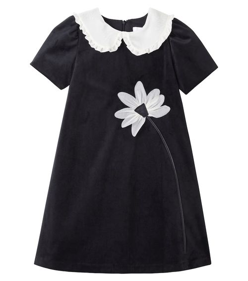 Embroidered lace-trimmed dress
