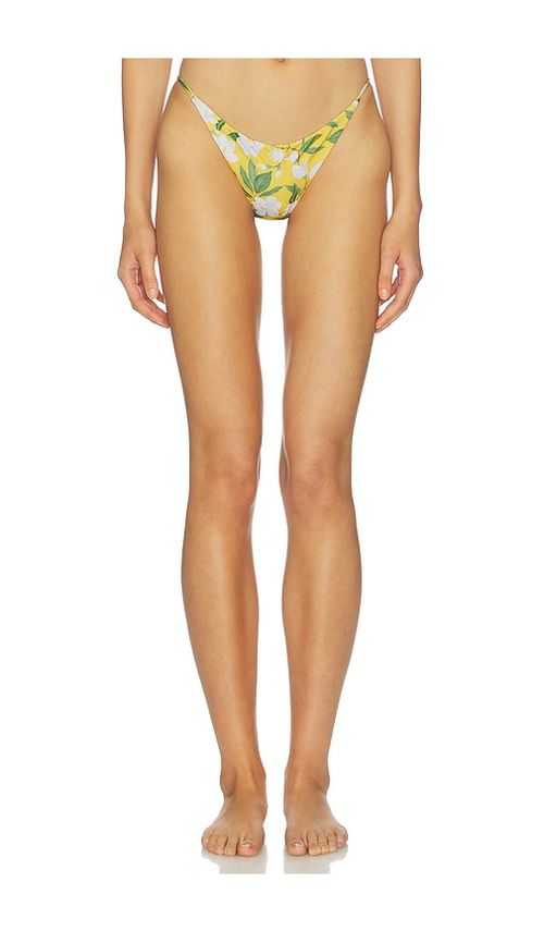 Verandah Low-rise Bikini Bottoms in Multi. - L also in M, S