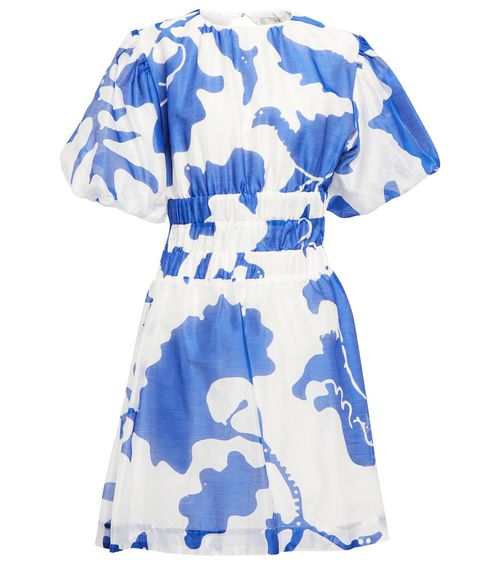 Vivi printed cotton and silk minidress