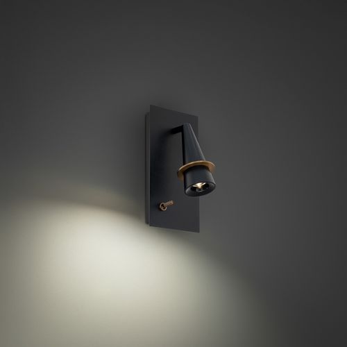 Black & Aged Brass LED Task Light from the Wizard Collection