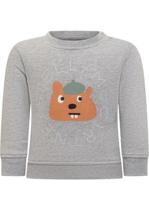 Babies Grey Graphic Sweatshirt