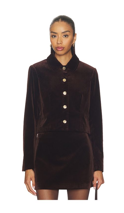 ASTR the Label Vox Jacket in Brown. - L also in XS
