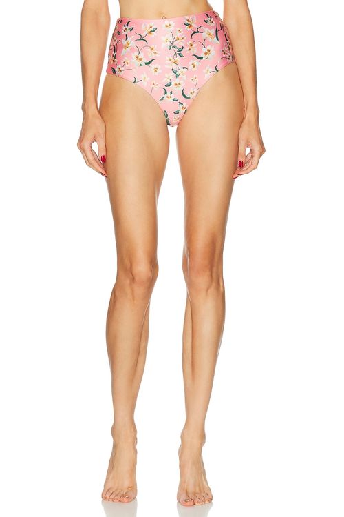 Agua by Agua Bendita Magenta Bikini Bottom in Promesa - Pink. L also in M