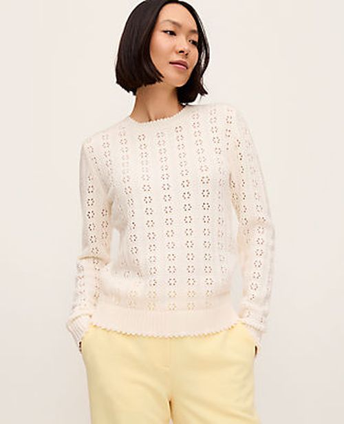 Ann Taylor Cozy Pointelle Sweater