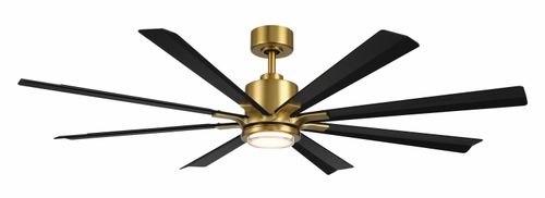Soft Brass Matte Black 65" Ceiling Fan from the Matters Collection