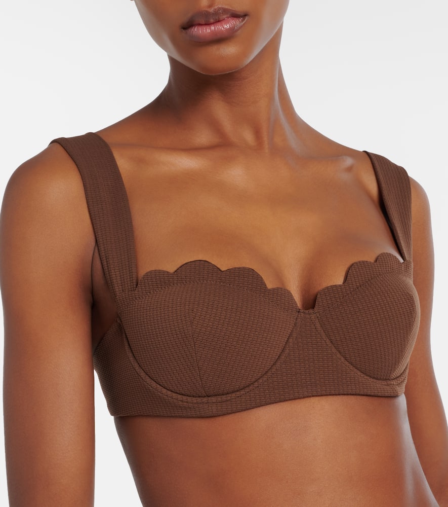 North scalloped bikini top
