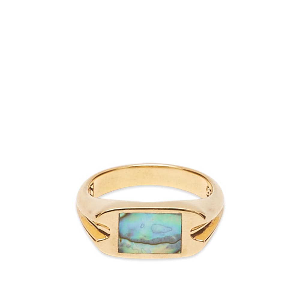 Men's Danny Signet Ring in Gold/Abalone