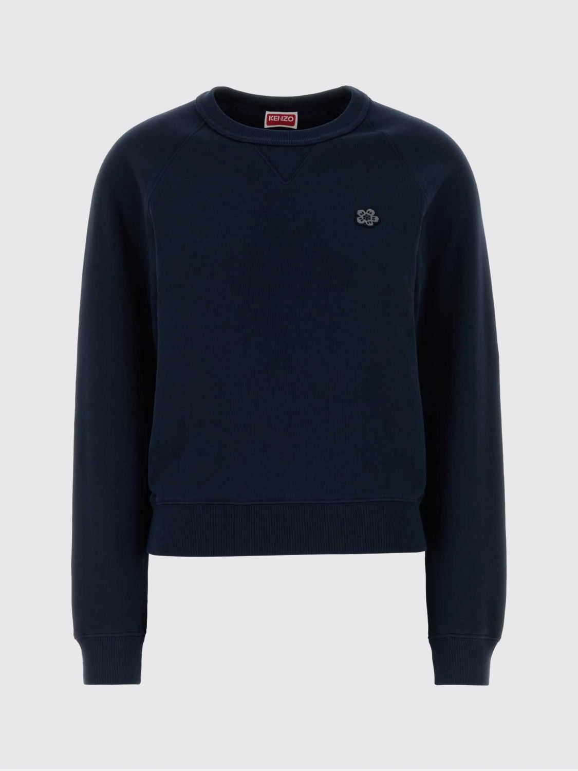 Sweatshirt Woman color Blue