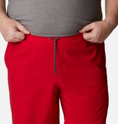 Men's Summertide  Stretch Shorts - Big-