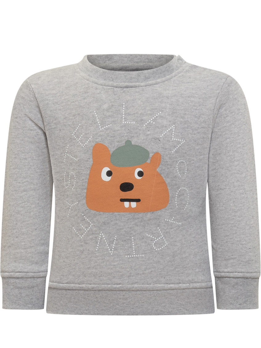 Babies Grey Graphic Sweatshirt