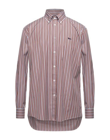 Man Shirt Chocolate brown Size S Cotton