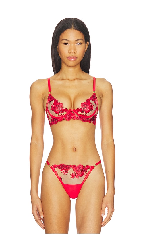 BLUEBELLA Lavanya Wired Bra in Red. - 36D also in 32B, 32C, 32D, 34B, 34C, 34D, 36B, 36C
