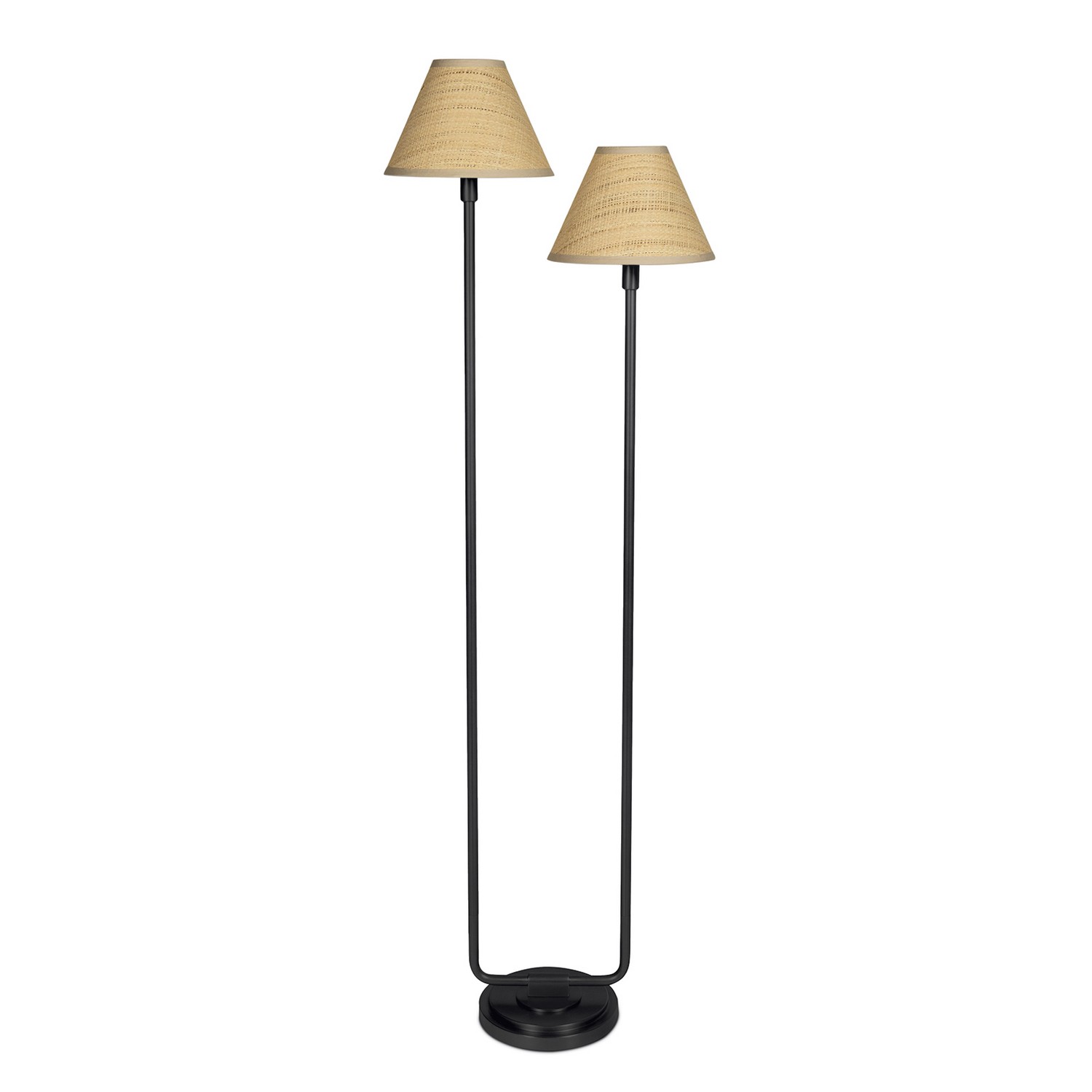Blackened Brass Floor Lamp from the Polly Collection