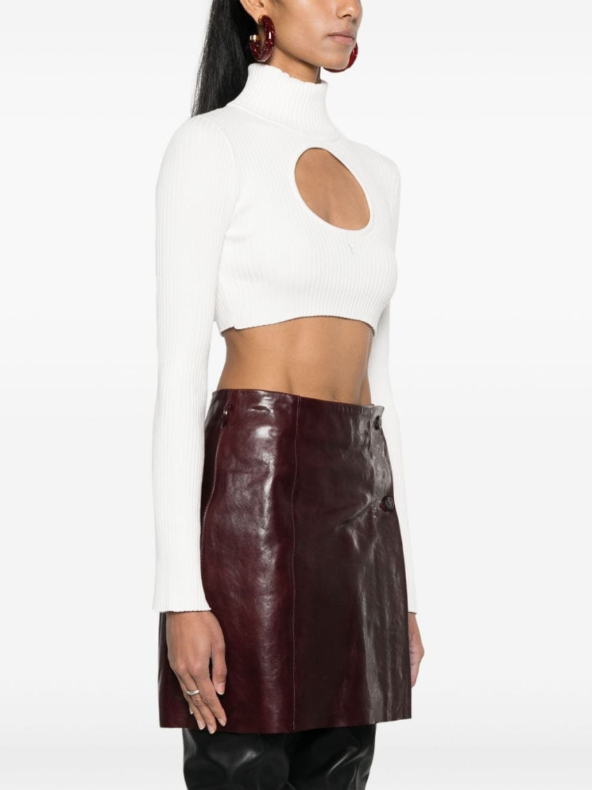 Cut-out Detail Turtleneck Cropped Sweater