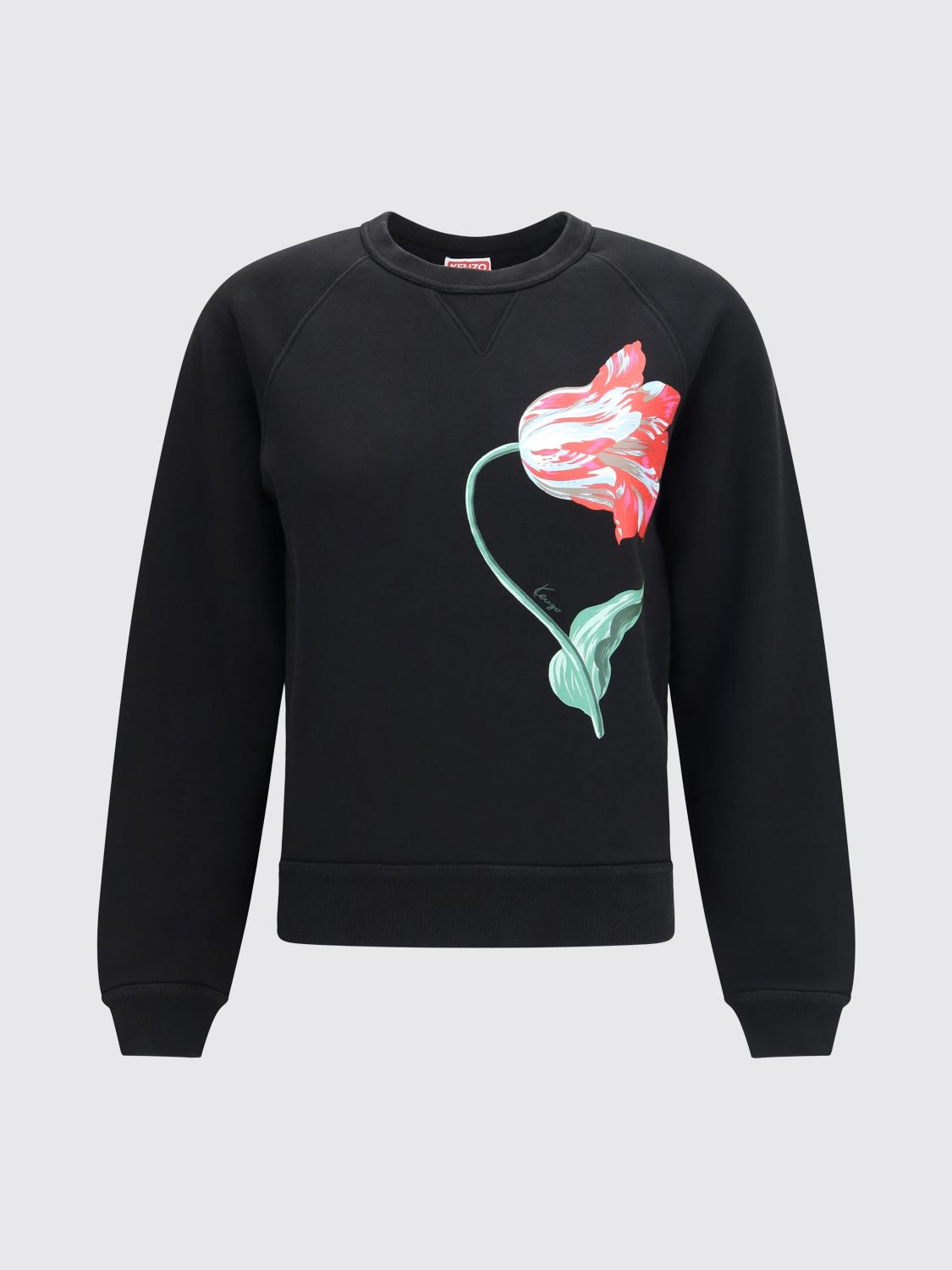 Sweatshirt Woman color Black