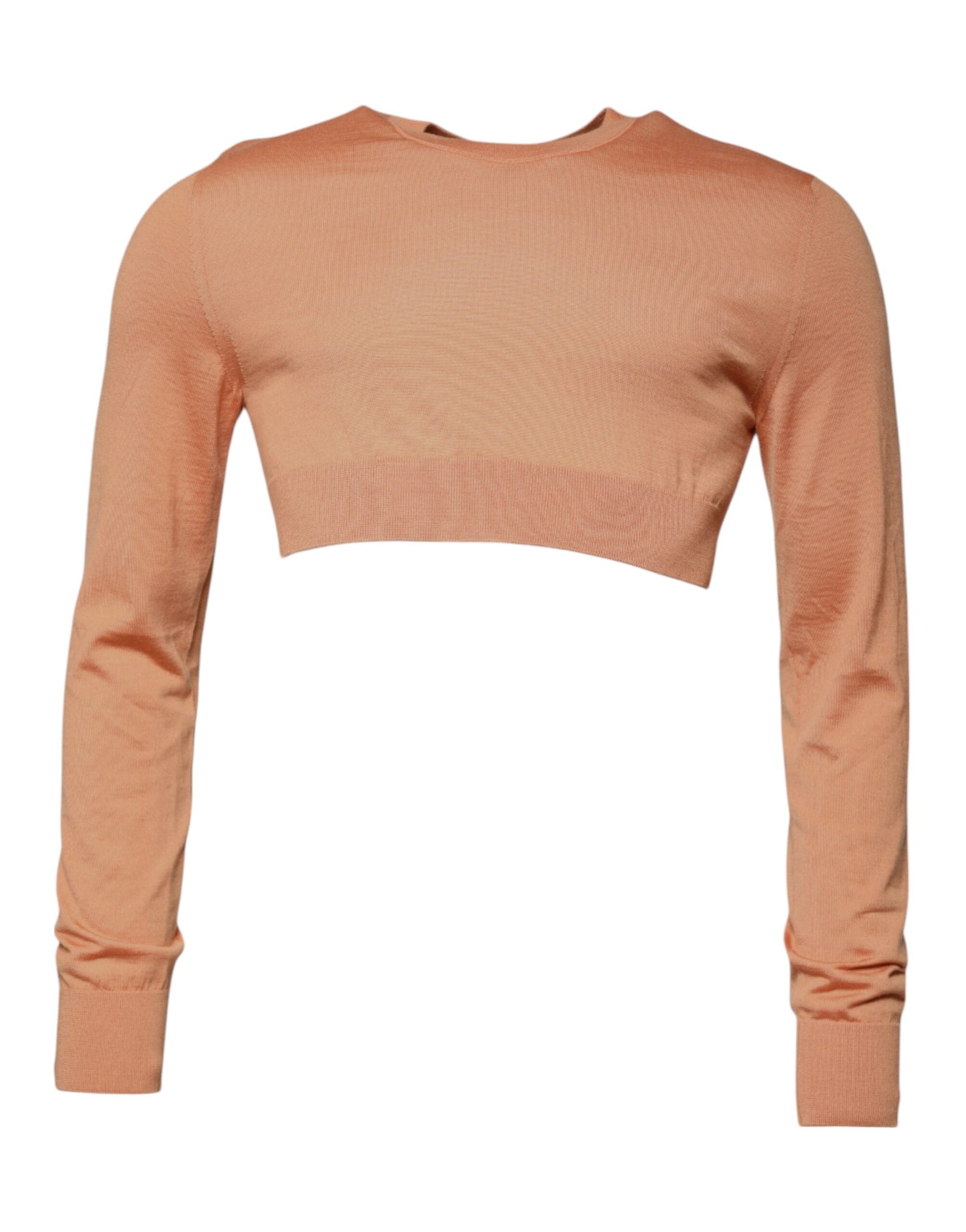 Virgin Wool Cropped Crewneck Sweater — Beige