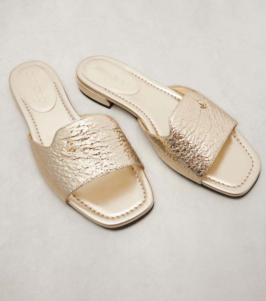 Dina metallic slides