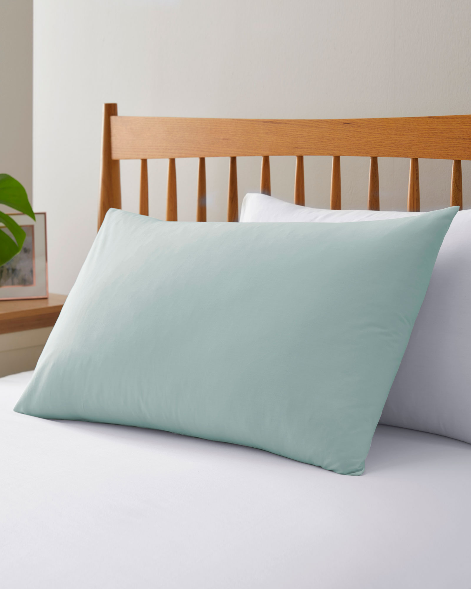 200 Thread Count Plain Dyed Standard Pillowcase Pair in Green, 100% Cotton
