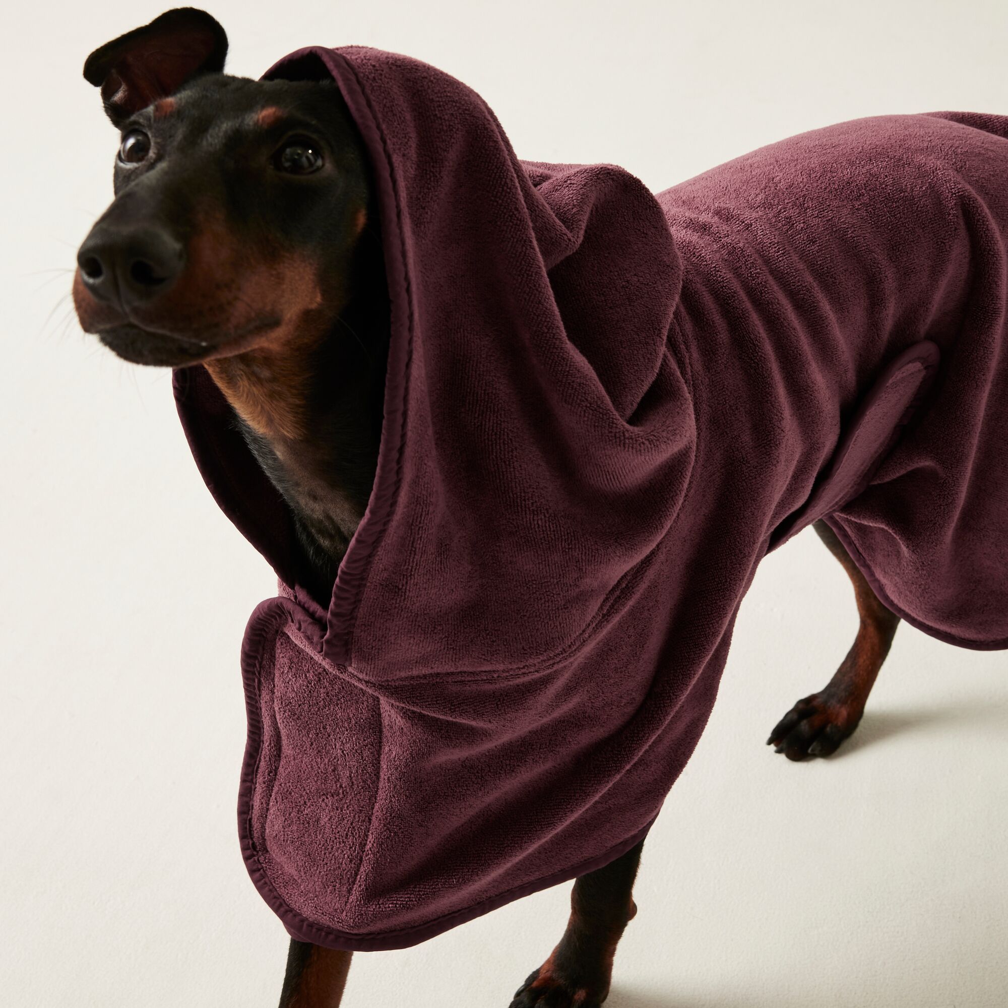 Regatta Dog Drying Coat in Plu