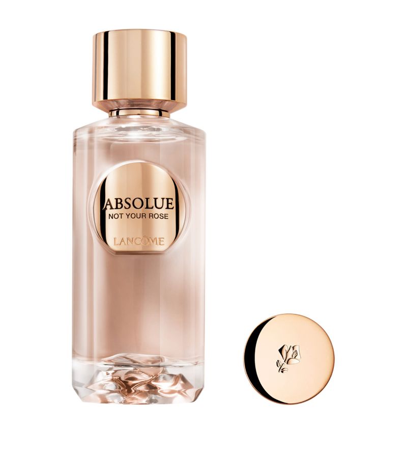 Absolue Not Your Rose Eau De Parfum (100Ml)