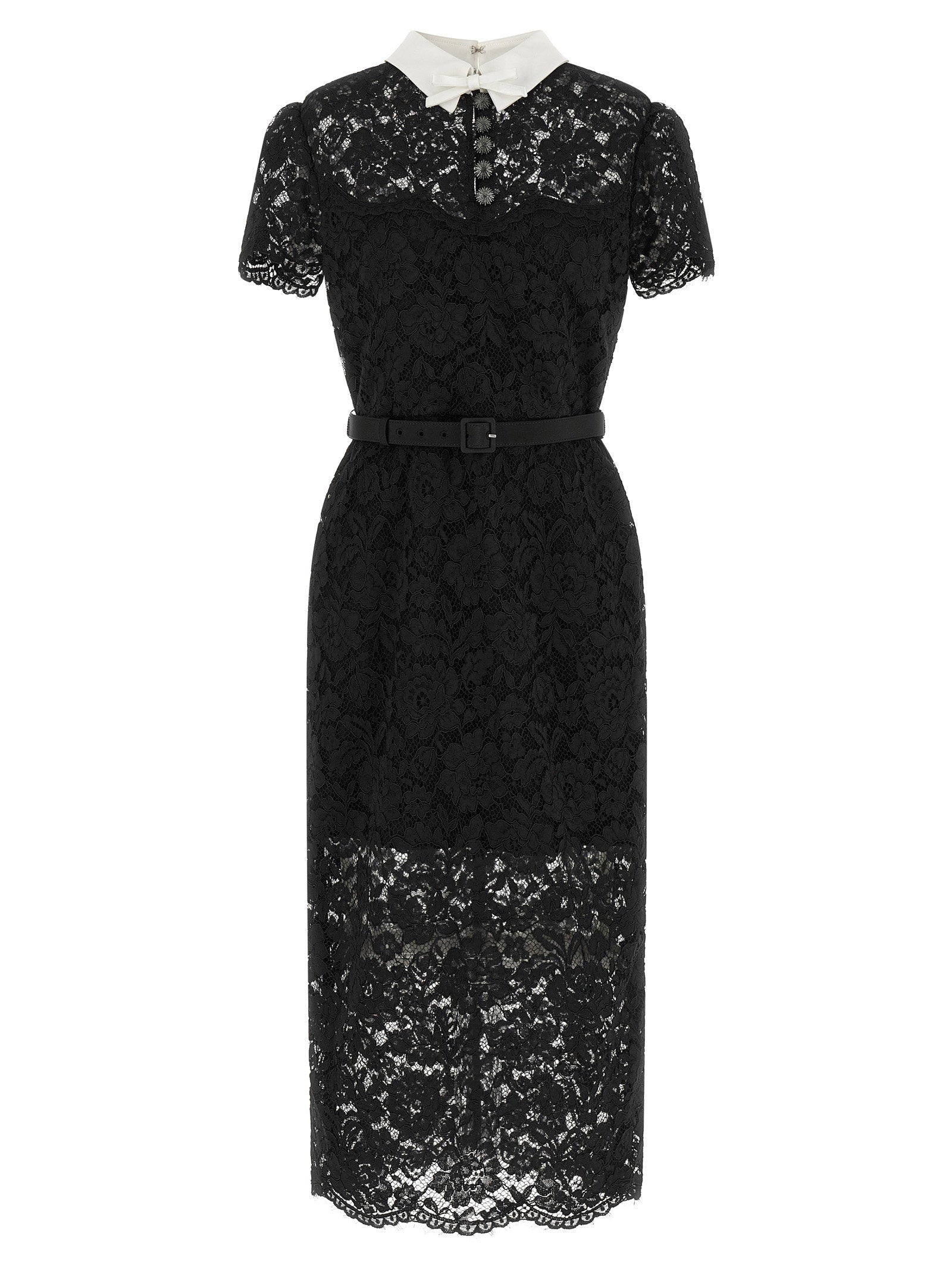 Floral Lace with Contrast Collar Dress — Black