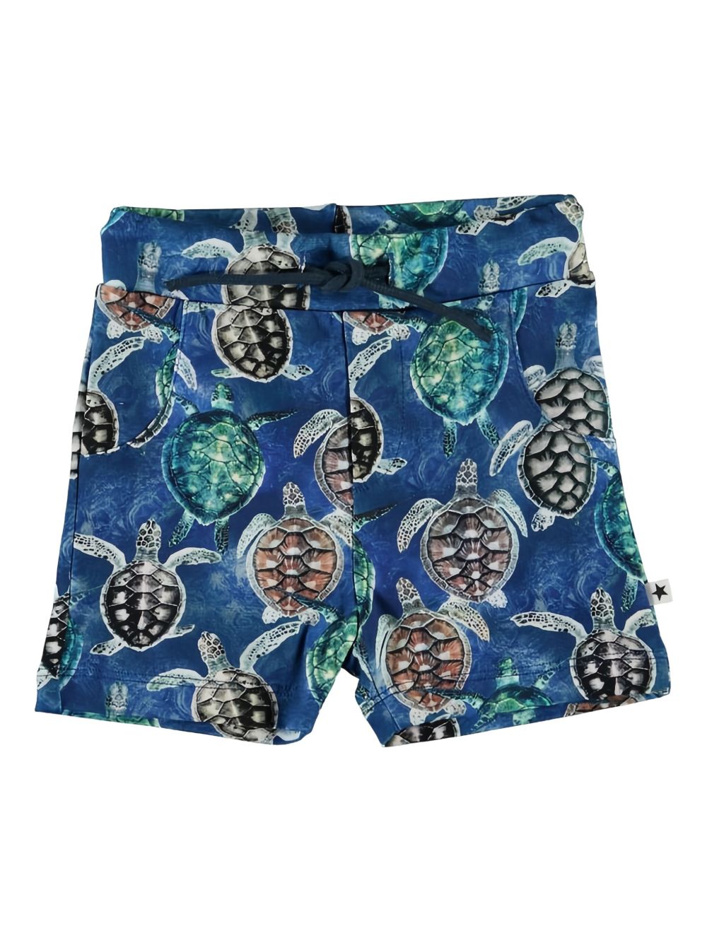 Turtle-print shorts - Blue