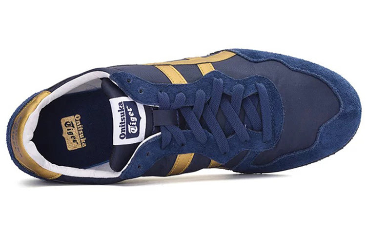 Serrano 'Navy Gold'