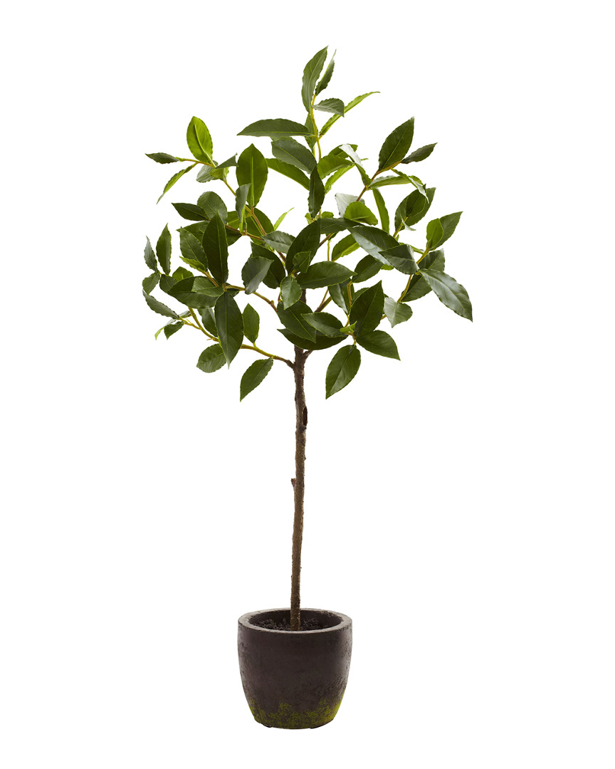 29In Topiary & Planter