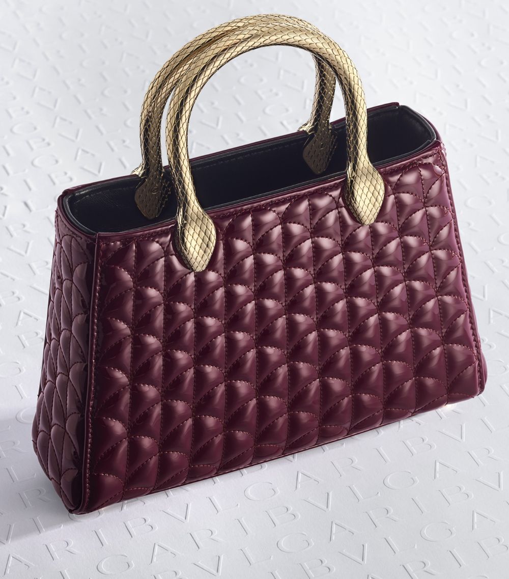 Leather Serpentine Duo Top-Handle Bag