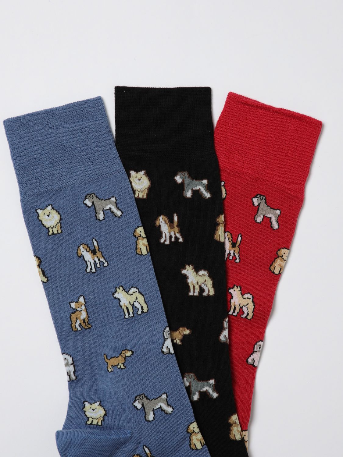 Dogs socks (pack of three) - Blue