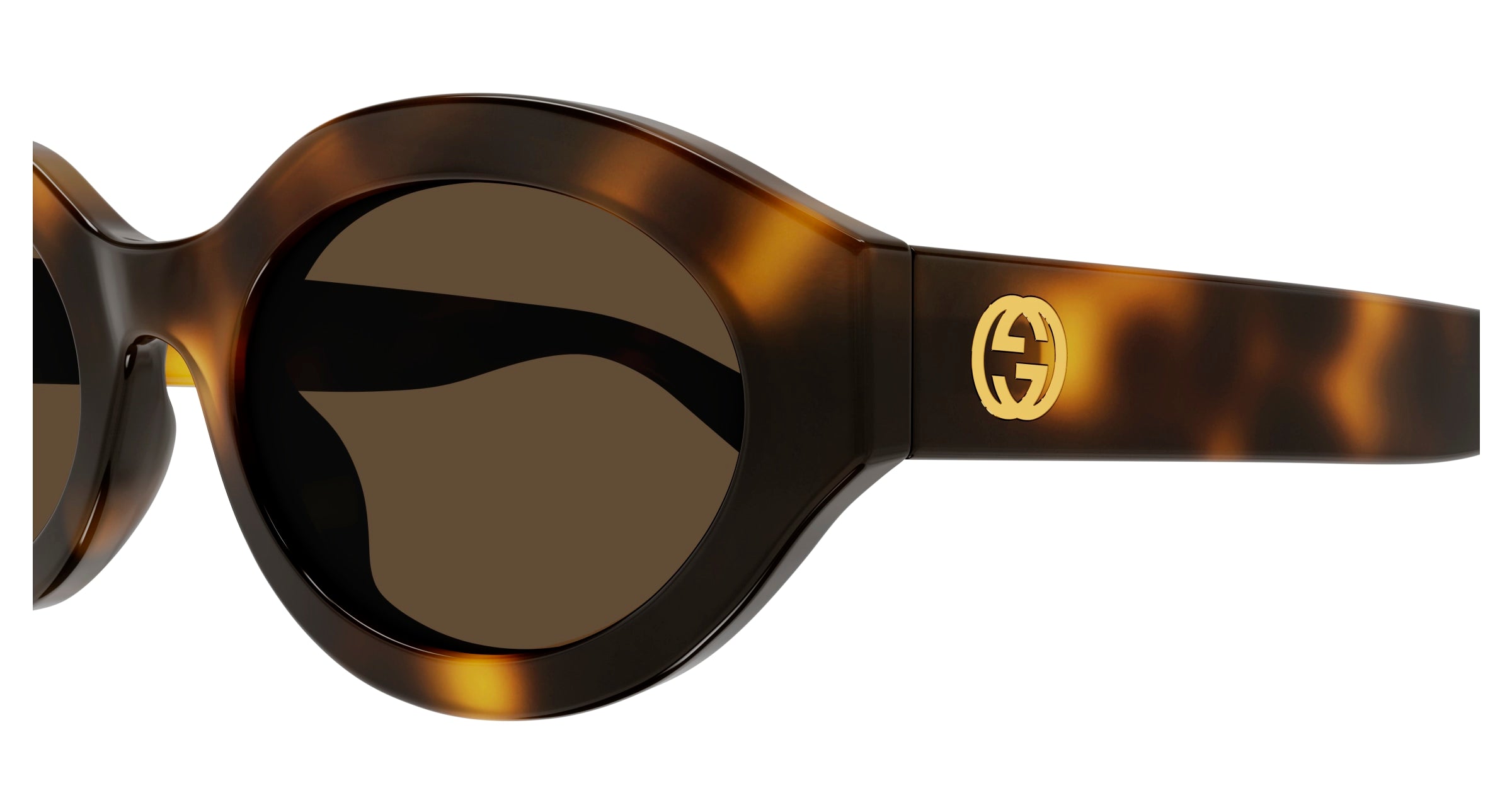 Gucci Woman Gucci GG1579S 002 Sunglasses Injected Havana Brown Geometric