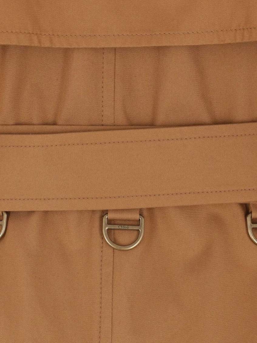 Brown Double Breasted Trench Coat