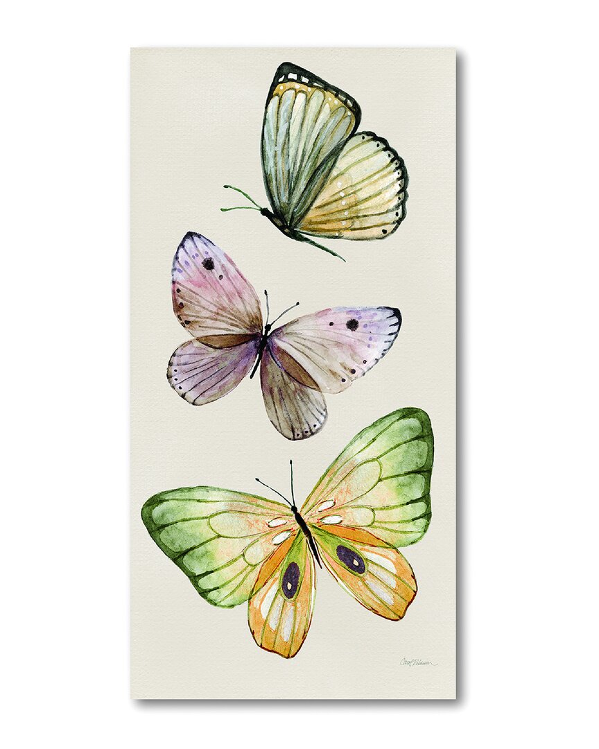 Fly Away Ii Canvas Wall Art
