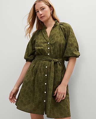 Ann Taylor Petite Eyelet Ruffle Neck Flare Dress