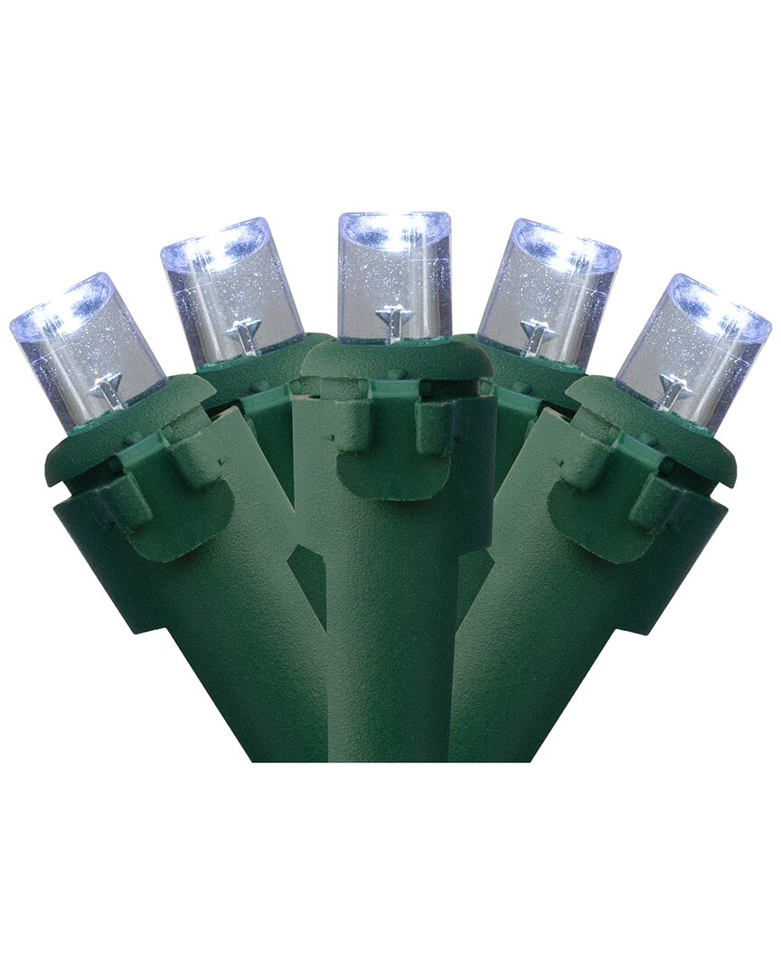 Northlight 300 Pure White LED Wide Angle Mini Christmas Lights - 74.75 ft  Green Wire