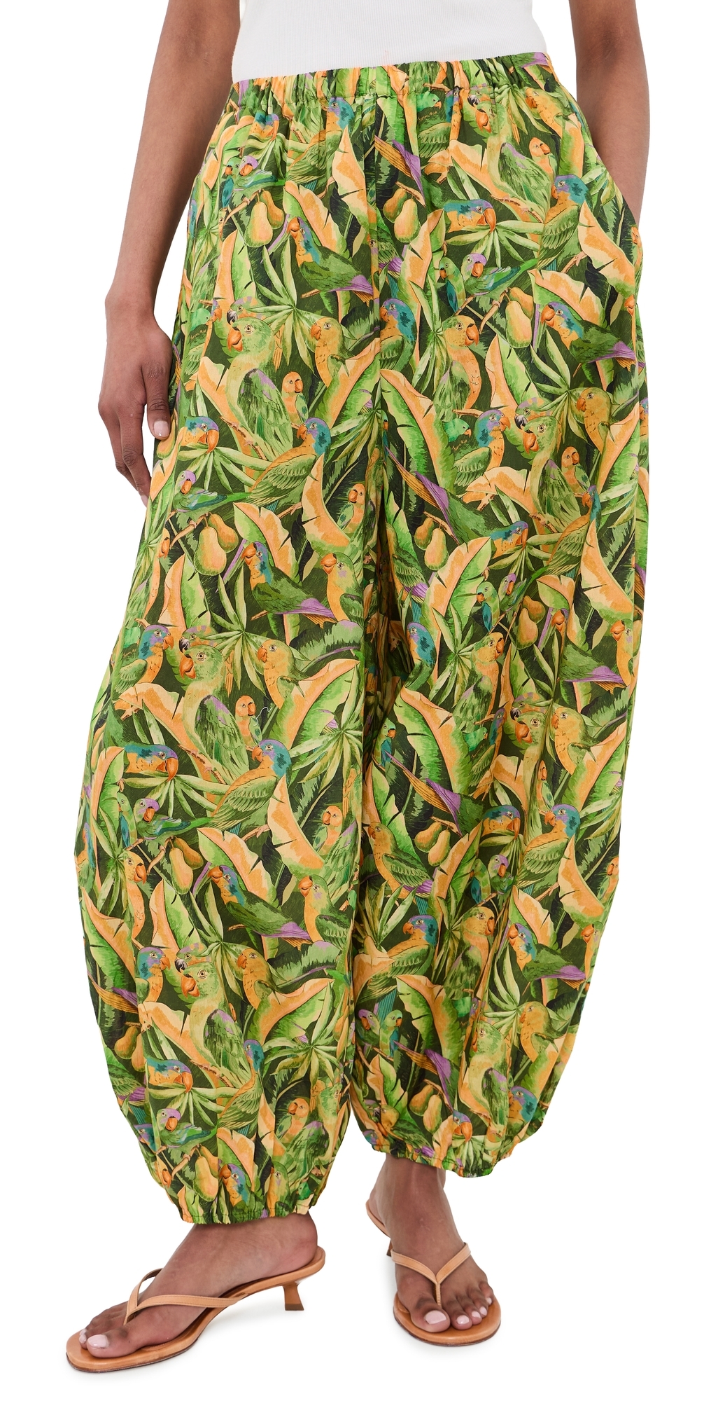 Balloon Pants Parrots Forest Green