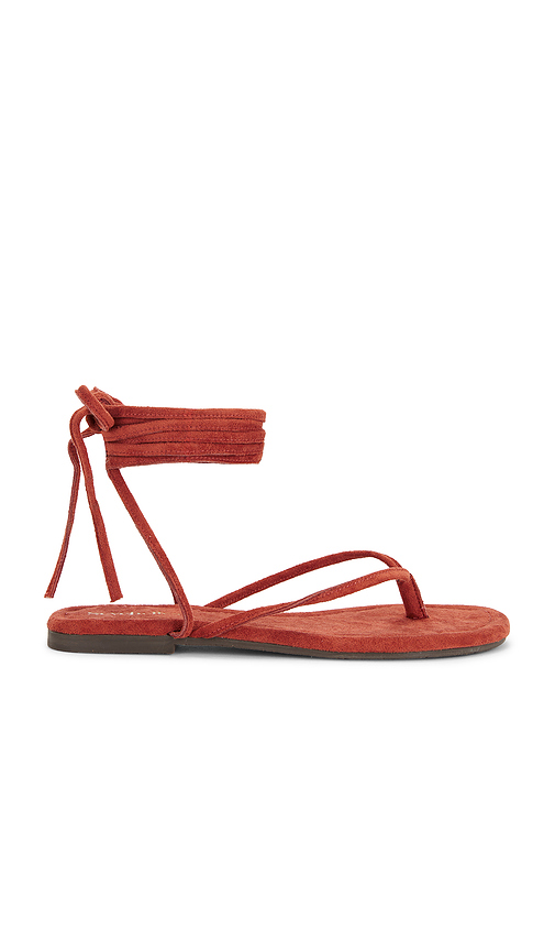 Seychelles Wander The World Sandal in Brick. - 9.5 also