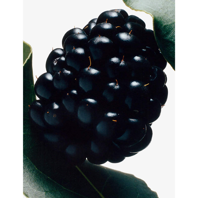 Blackberry & Bay Body & Hand Lotion 250ml