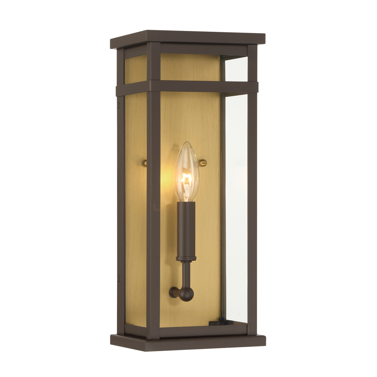Painted Legacy Brass Outdoor Wall Sconce from the Briarlane Collection