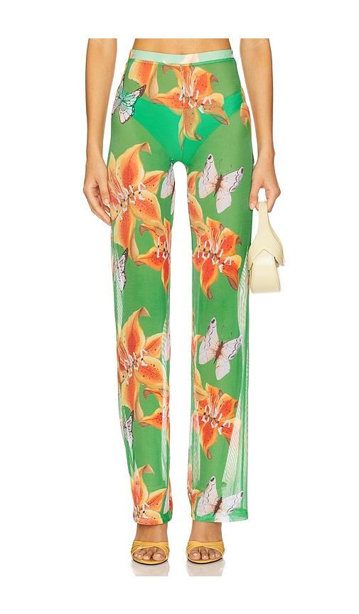 Juliet Johnstone Mesh Pant in Green.  XL/1X. Also in M