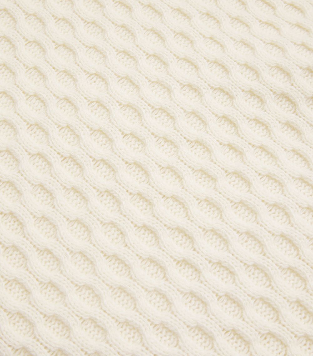 Virgin Wool Rollneck Sweater