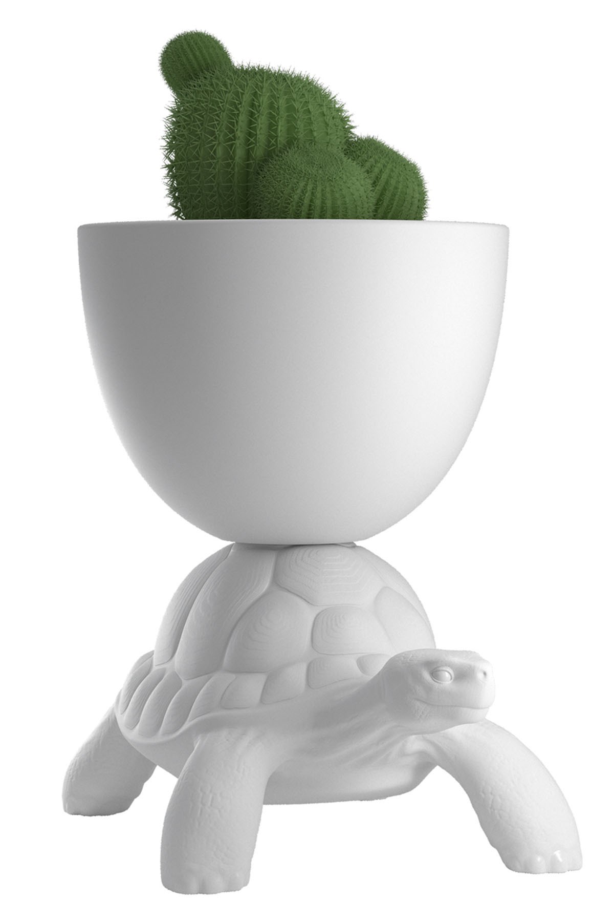 'Turtle Carry Planter And Champagne Cooler' Vase