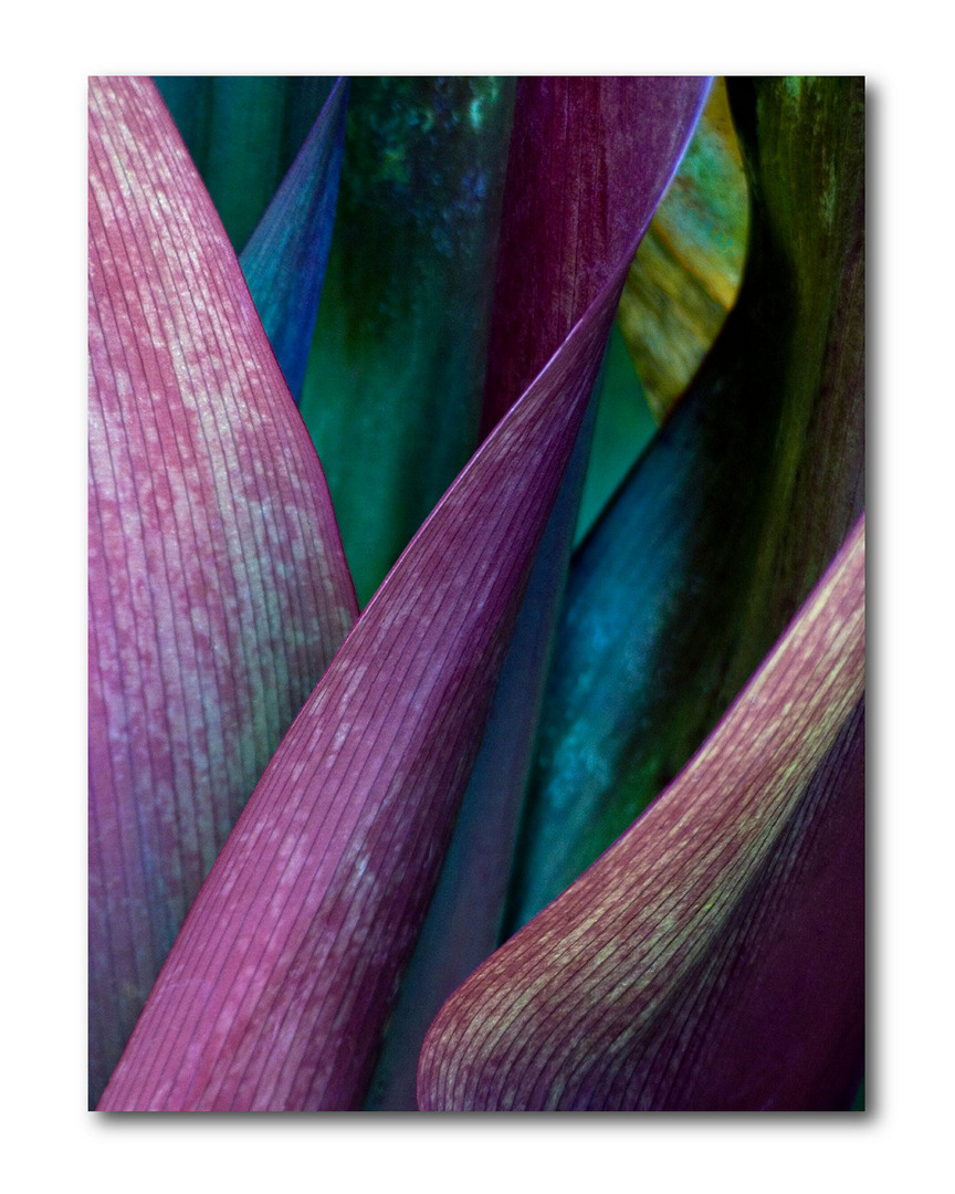 Wall Decor Deep Purple Gallery Wrapped Canvas Wall Art