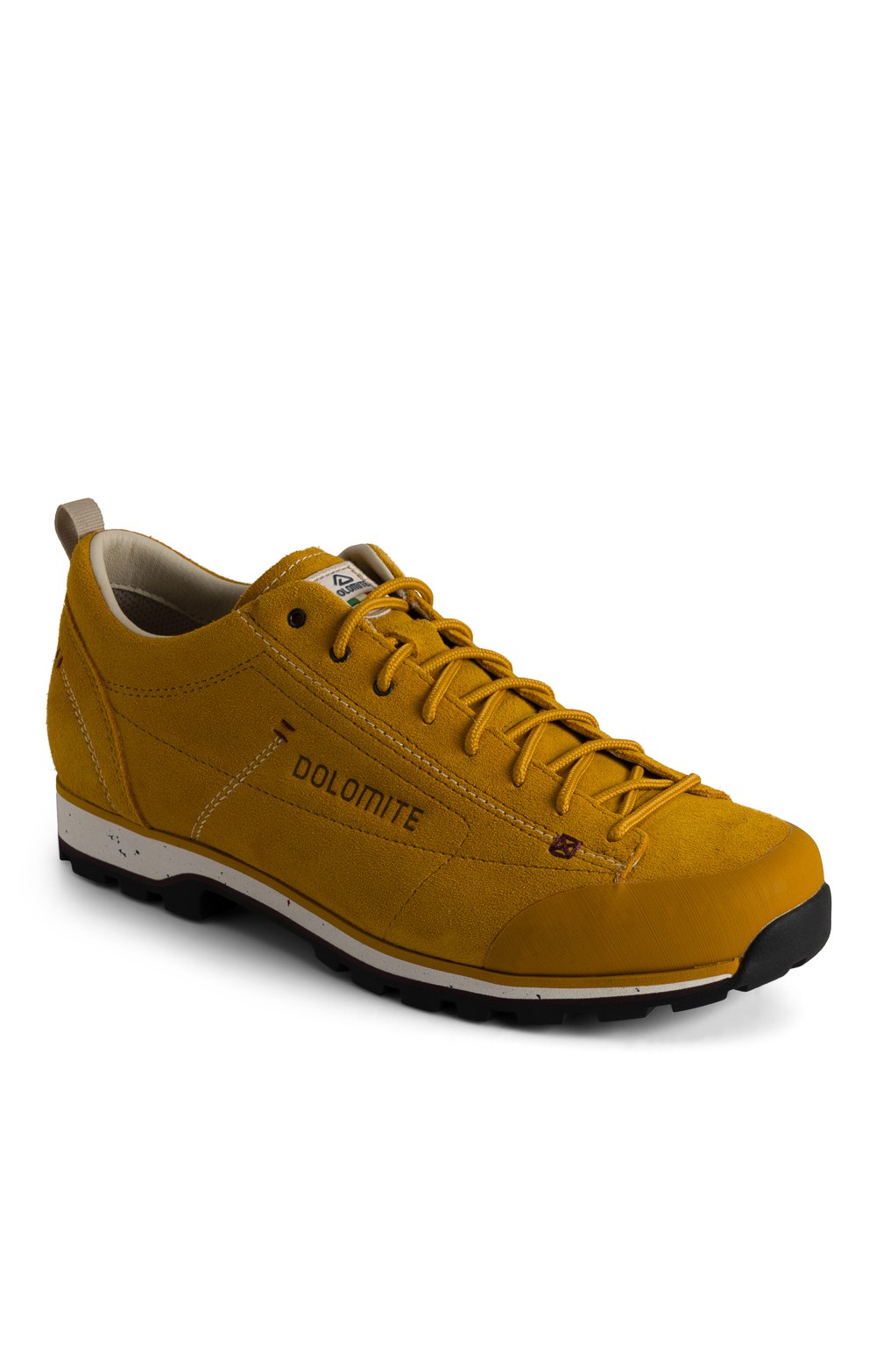 Men's 54 Low Evo Shoes