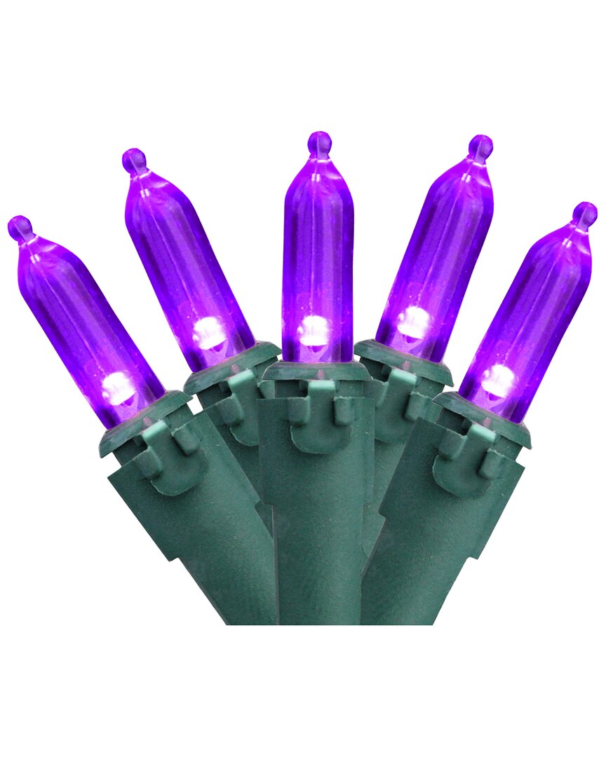 Northlight 100-Count Purple LED Mini Christmas Lights 33ft Green Wire
