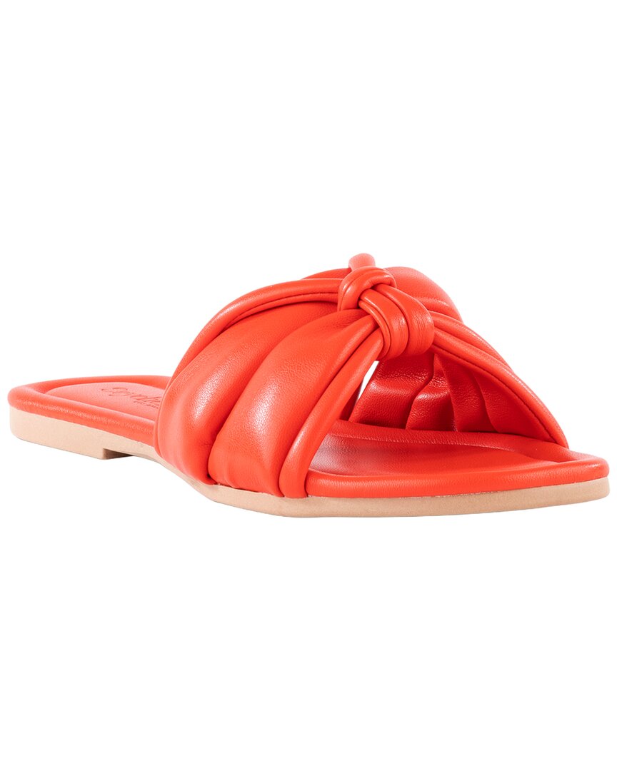 Shades Of Cool Sandal