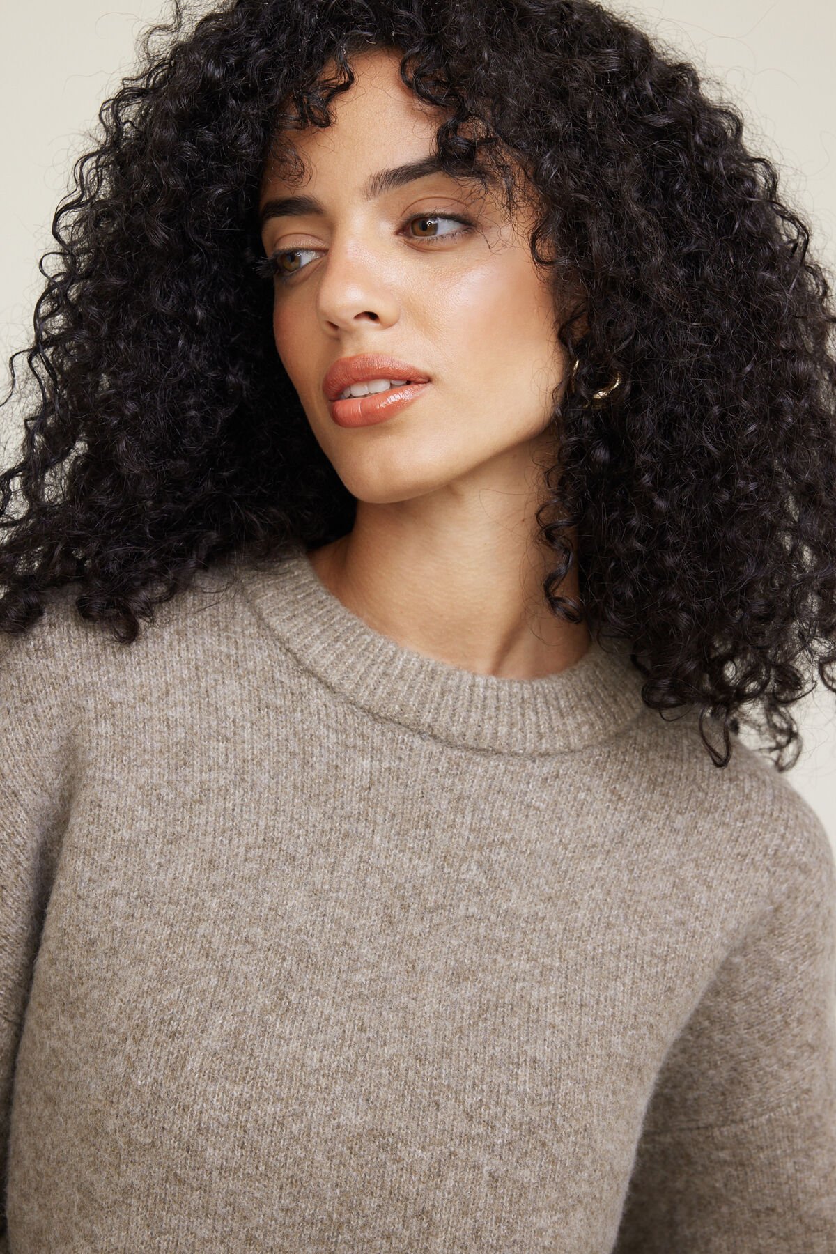 Jane Raglan Crewneck Sweater