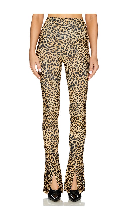 Norma Kamali Spat Legging in Brown. -  XL also in L, M