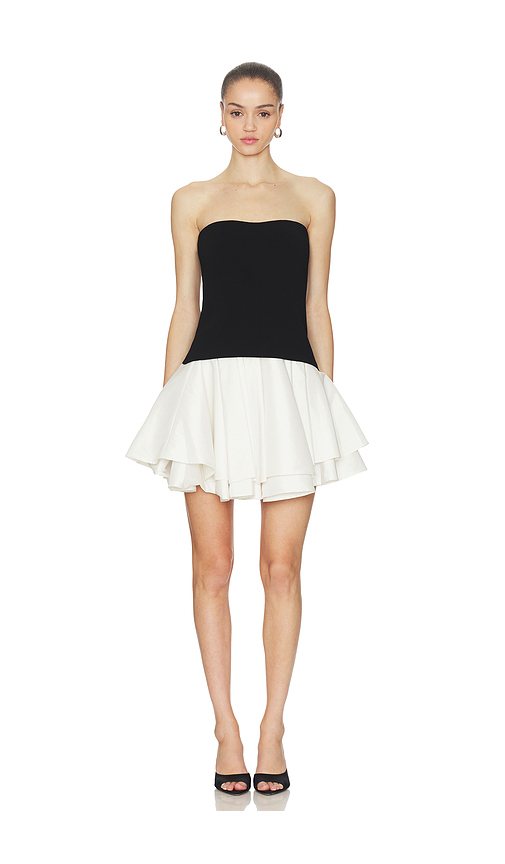 SIMKHAI Isabelle Mini Dress in Black Multi - Black. XS also in L