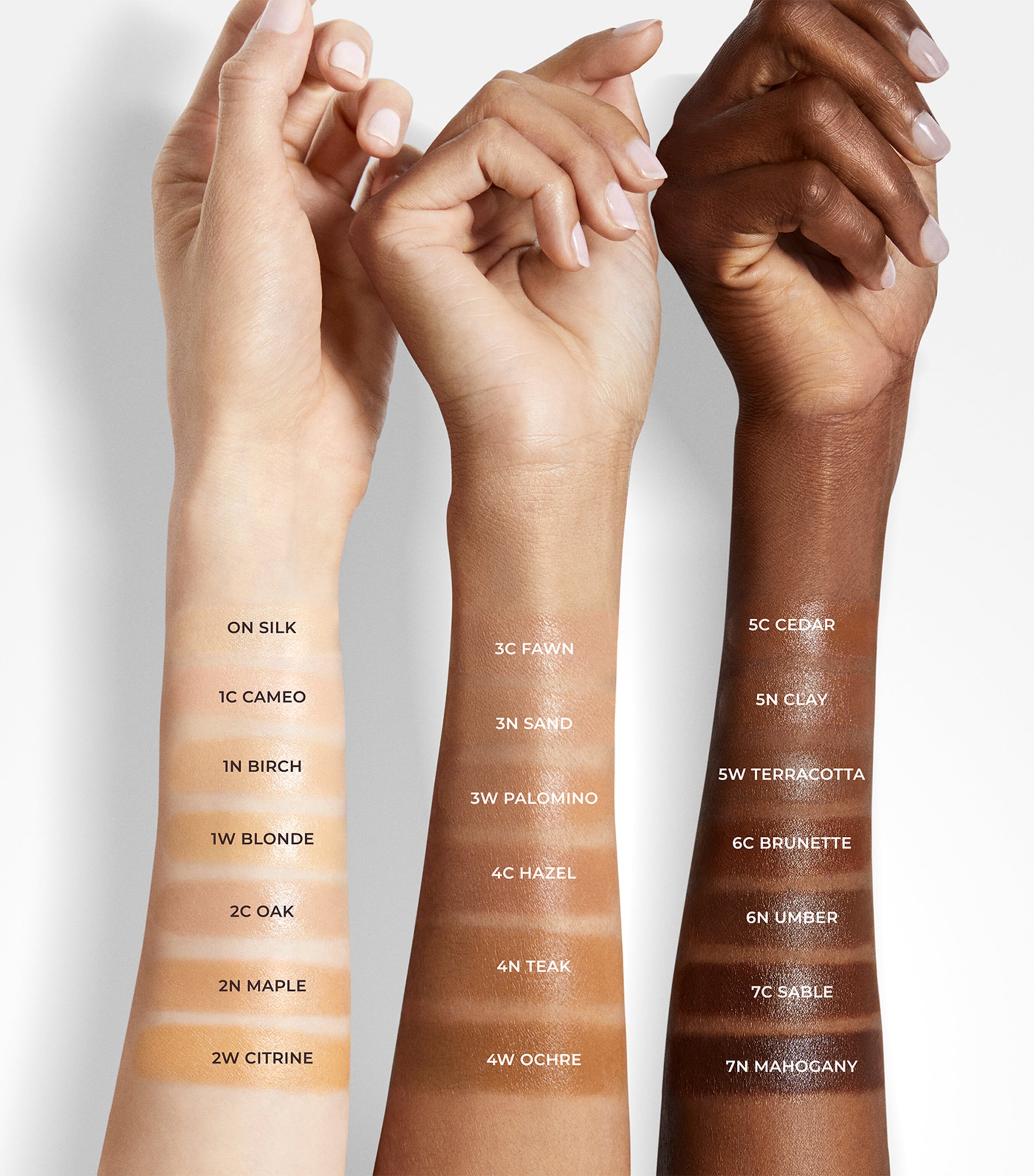 Tinted Moisturizer Natural Skin Perfector